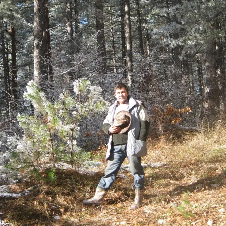 Photo #716026