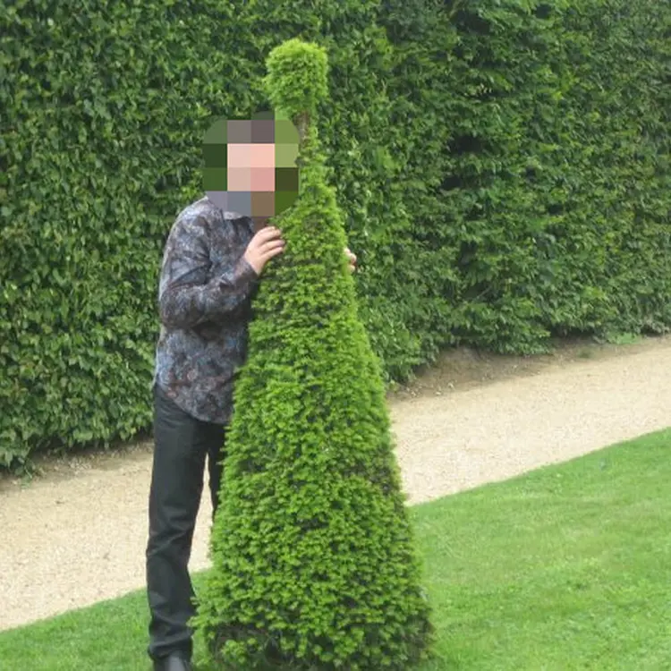 Photo #1512780