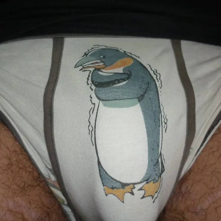 Photo #1723083