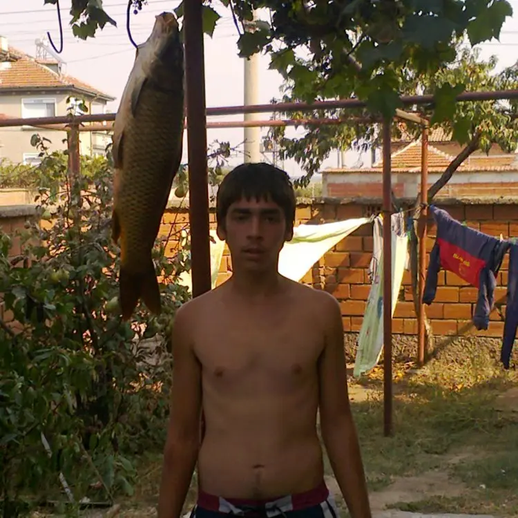Photo #1894860