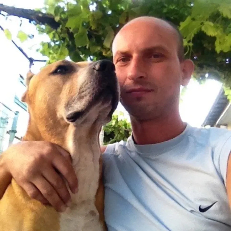 Photo #2580187
