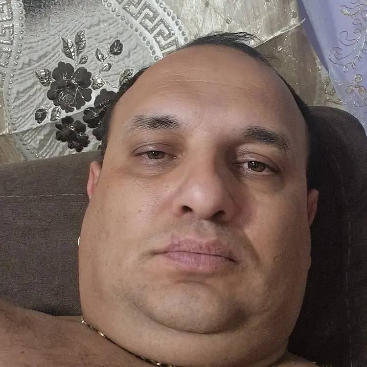 Photo #2286159