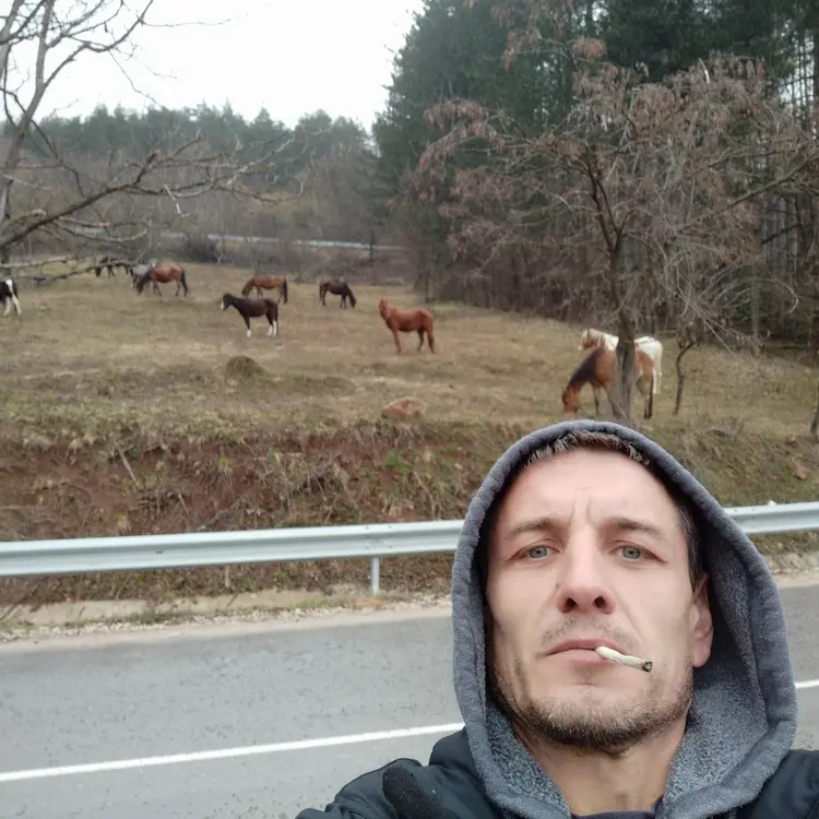 Photo #2175844