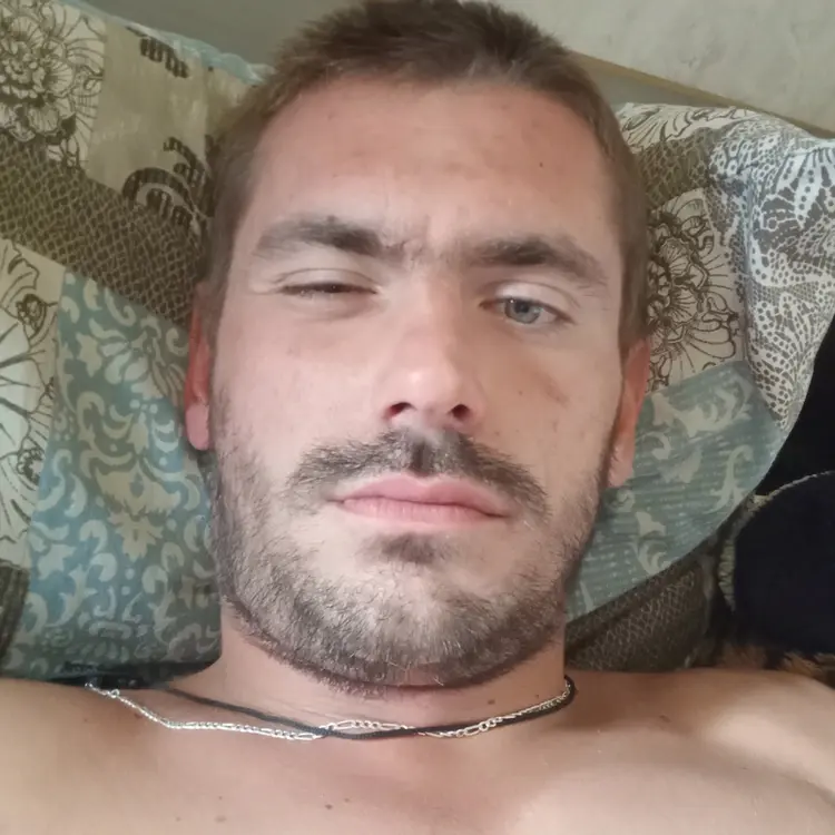 Photo #2240518